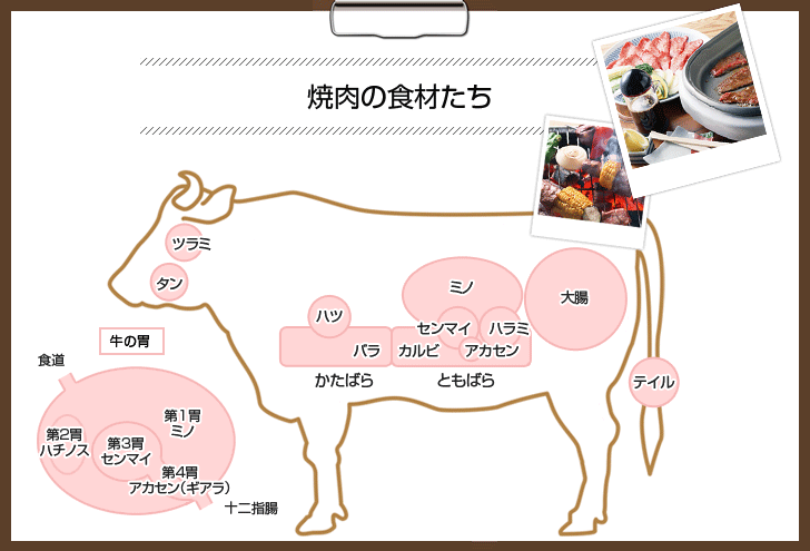 焼肉の食材たち