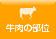 牛肉の部位