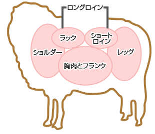 羊肉の部位